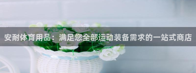 欧陆公司在哪里：安耐体育用品：满足您全部运动装备需求