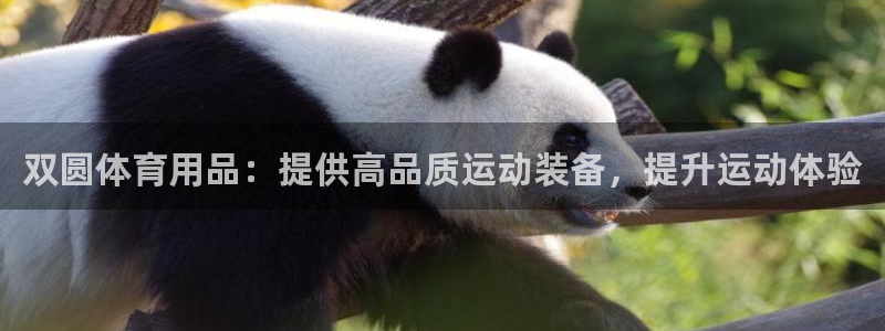 欧陆娱乐官网注册中心下载：双圆体育用品：提供高品质运