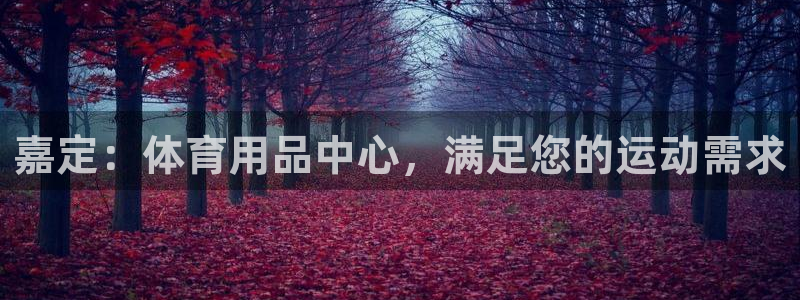 欧陆娱乐官网入口网址：嘉定：体育用品中心，满足您的运