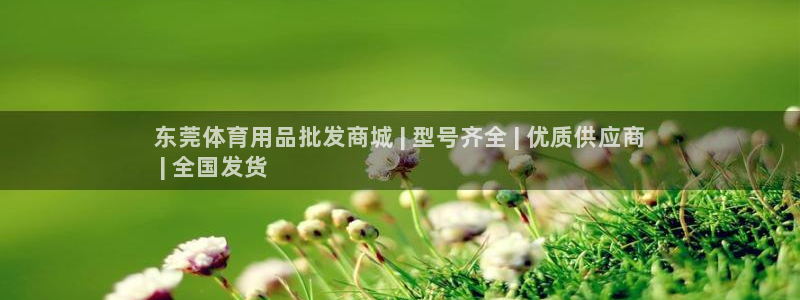 欧陆娱乐代理多少个点位合适：东莞体育用品批发商城 |