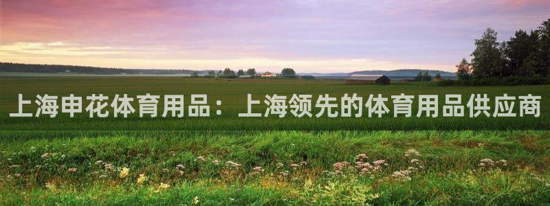 欧陆娱乐注册代理：上海申花体育用品：上海领先的体育用