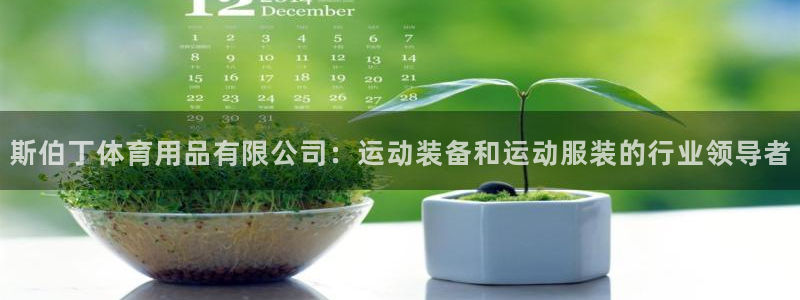 欧陆官网下载：斯伯丁体育用品有限公司：运动装备和运动