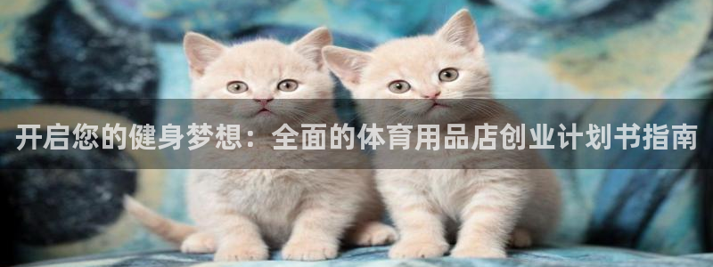 欧陆娱乐挂机怎么玩的：开启您的健身梦想：全面的体育用
