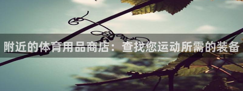 欧陆娱乐有限公司：附近的体育用品商店：查找您运动所需
