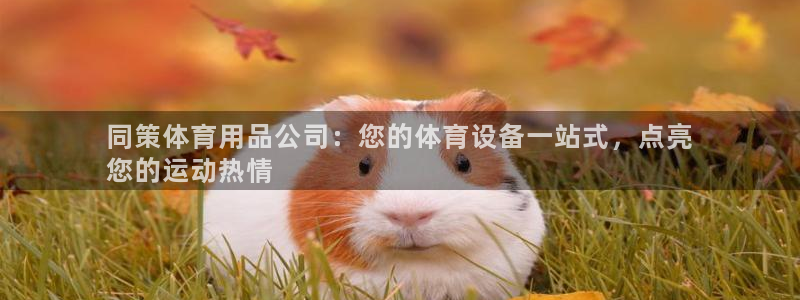 欧陆娱乐挂机项目怎么设置：同策体育用品公司：您的体育