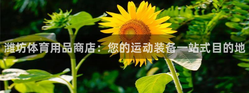 欧陆娱乐平台咋样啊：潍坊体育用品商店：您的运动装备一