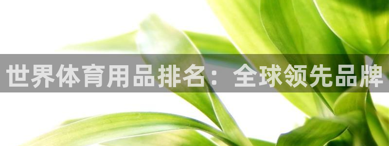 欧陆娱乐累计盈利多少就会被劝退呢：世界体育用品排名：