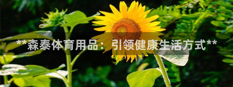 欧陆娱乐脚本怎么用：**森泰体育用品：引领健康生活方