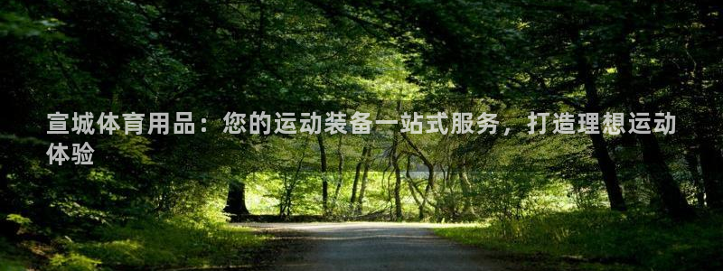 欧陆娱乐是干什么的：宣城体育用品：您的运动装备一站式