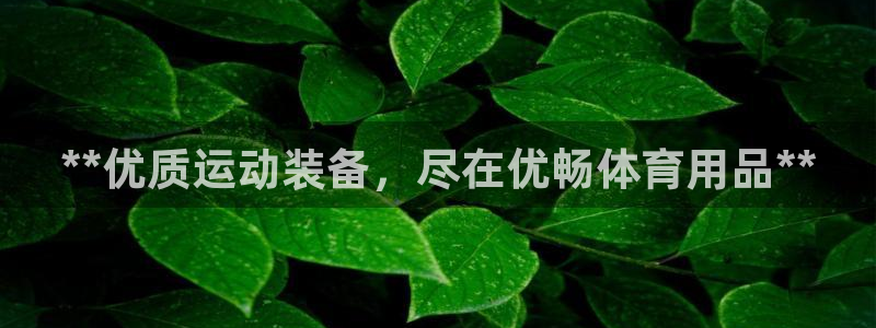 欧陆平台：**优质运动装备，尽在优畅体育用品**