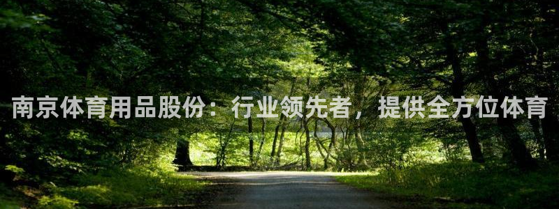 欧陆娱乐图片：南京体育用品股份：行业领先者，提供全方