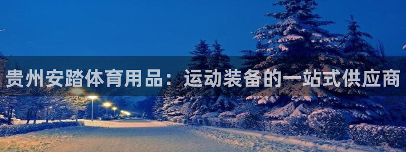 欧陆娱乐登陆官网入口：贵州安踏体育用品：运动装备的一
