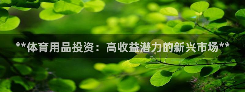 欧陆娱乐怎么注册帐号：**体育用品投资：高收益潜力的