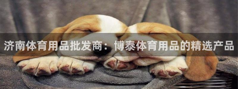 欧陆娱乐注册平台：济南体育用品批发商：博泰体育用品的