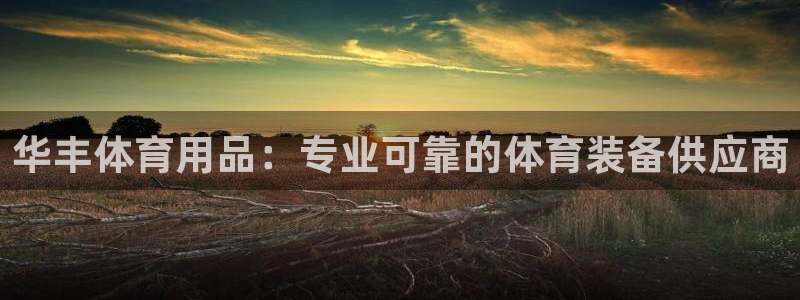 欧陆娱乐平台优势：华丰体育用品：专业可靠的体育装备供