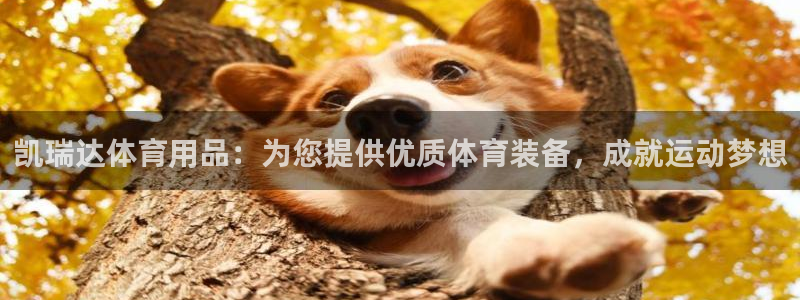 欧陆娱乐登陆官网网址：凯瑞达体育用品：为您提供优质体