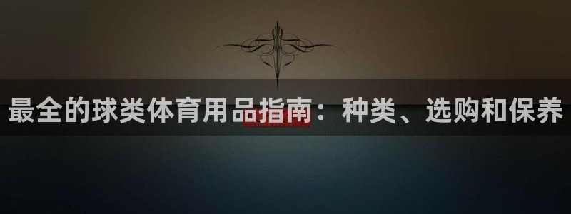 欧陆娱乐app下载：最全的球类体育用品指南：种类、选