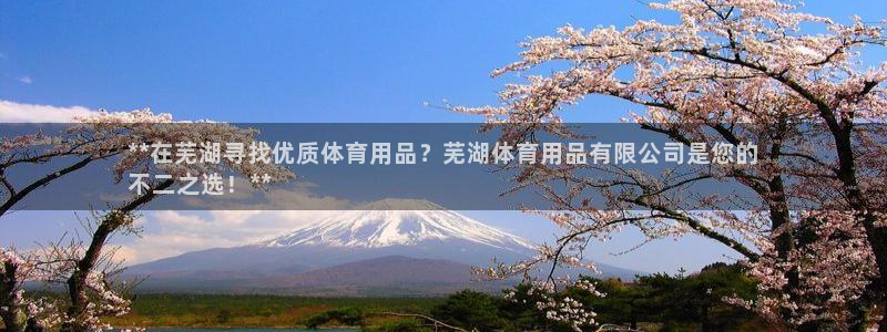 欧陆娱乐官方下载安装：**在芜湖寻找优质体育用品？芜