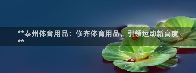 欧陆娱乐信誉如何：**泰州体育用品：修齐体育用品，引