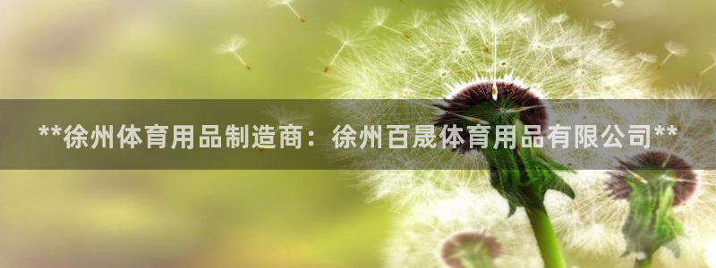欧陆娱乐官网网址大全：**徐州体育用品制造商：徐州百