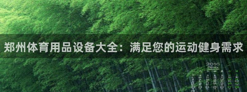 欧陆娱乐挂机项目：郑州体育用品设备大全：满足您的运动