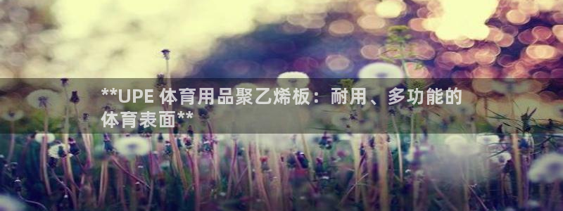 欧陆娱乐平台咋样赚钱快：**UPE 体育用品聚乙烯板