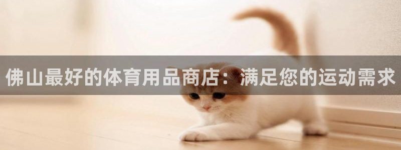 欧陆娱乐能赚钱吗知乎：佛山最好的体育用品商店：满足您
