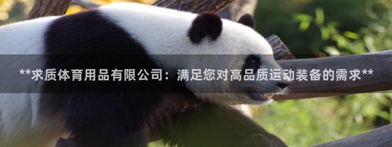 欧陆娱乐官方网站：**求质体育用品有限公司：满足您对