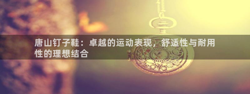 欧陆娱乐挂机项目怎么弄：唐山钉子鞋：卓越的运动表现，