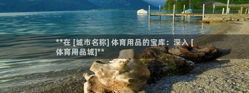 欧陆娱乐登陆平台下载：**在 [城市名称] 体育用品