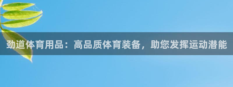 欧陆娱乐百科大全：劲道体育用品：高品质体育装备，助您