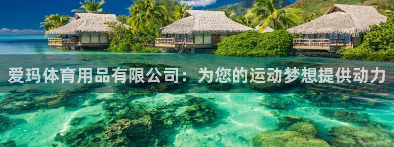 欧陆娱乐是那个旗下的品牌：爱玛体育用品有限公司：为您