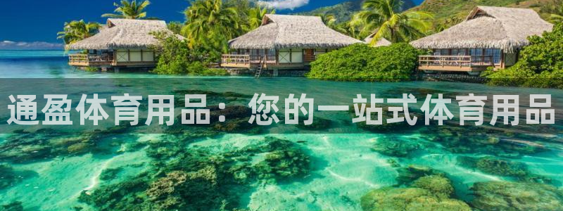 欧陆娱乐打什么方案赚钱：通盈体育用品：您的一站式体育
