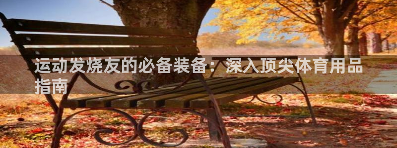欧陆娱乐登录平台：运动发烧友的必备装备：深入顶尖体育