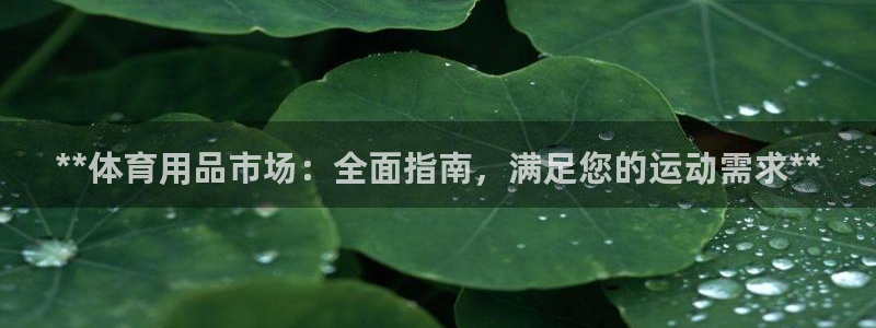 欧陆娱乐公司产品介绍图片：**体育用品市场：全面指南
