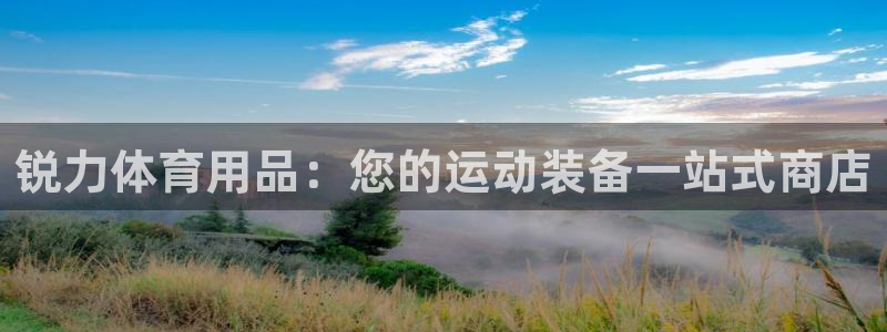 欧陆娱乐怎么注册帐号：锐力体育用品：您的运动装备一站