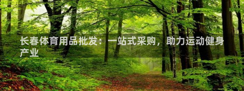 欧陆娱乐挂机项目：长春体育用品批发：一站式采购，助力