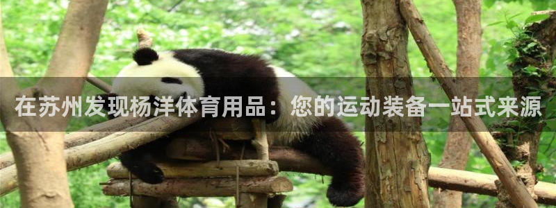 欧陆娱乐官方网站下载：在苏州发现杨洋体育用品：您的运