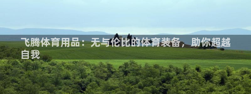 欧陆娱乐是那个旗下的品牌：飞腾体育用品：无与伦比的体