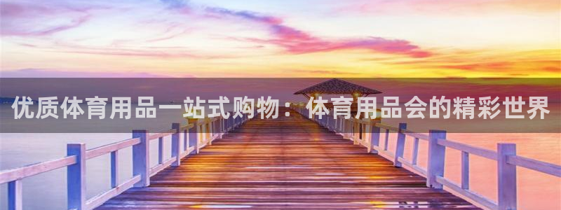 欧陆娱乐挂机怎么玩：优质体育用品一站式购物：体育用品