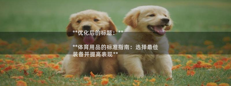 欧陆娱乐官网网址：**优化后的标题：**

**体育