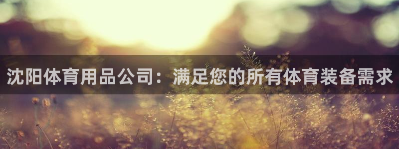 欧陆娱乐平台登录不上去了：沈阳体育用品公司：满足您的