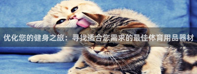 欧陆娱乐挂机怎么玩的：优化您的健身之旅：寻找适合您需