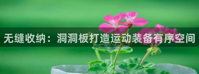 欧陆娱乐官网入口下载：无缝收纳：洞洞板打造运动装备有