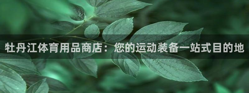 欧陆娱乐平台官网入口：牡丹江体育用品商店：您的运动装