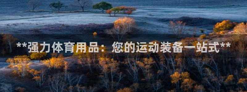 欧陆娱乐公司产品介绍：**强力体育用品：您的运动装备