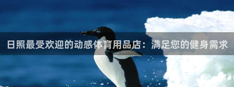 欧陆娱乐有限公司：日照最受欢迎的动感体育用品店：满足