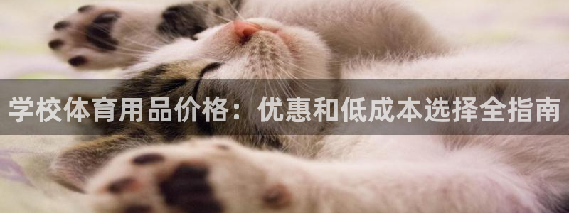 欧陆娱乐游戏：学校体育用品价格：优惠和低成本选择全指