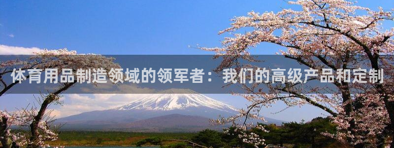欧陆娱乐注册芯7o777ts=0：体育用品制造领域的