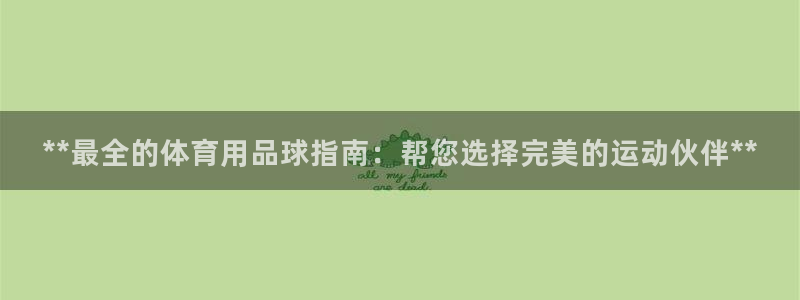 欧陆娱乐挂机项目：**最全的体育用品球指南：帮您选择